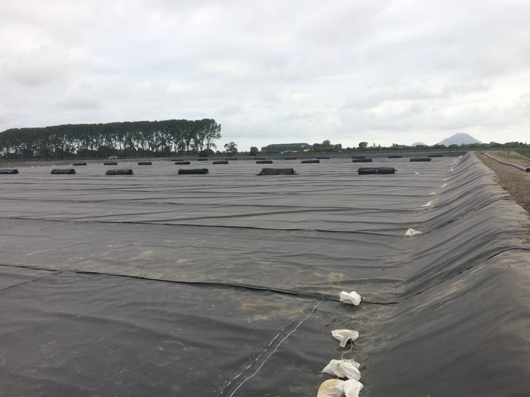 Kopeopeo canal lining